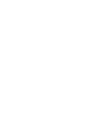 鳳凰涅槃（1995-2002）